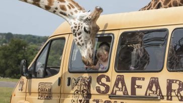 UK safari Park