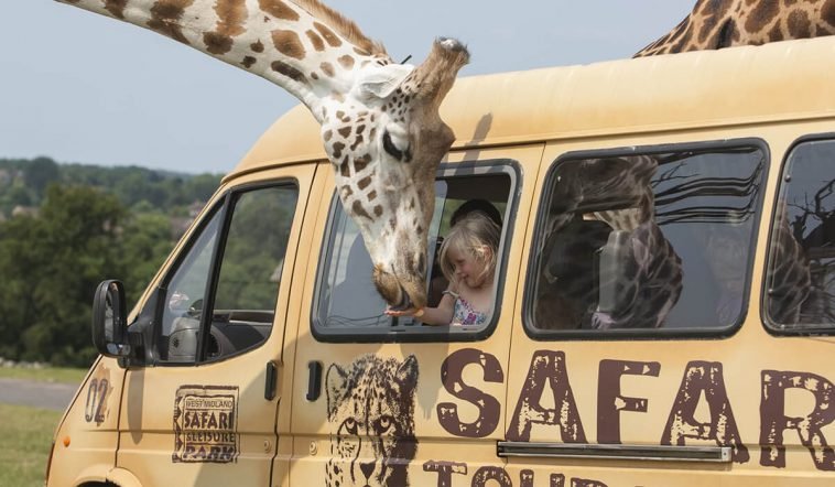 UK safari Park