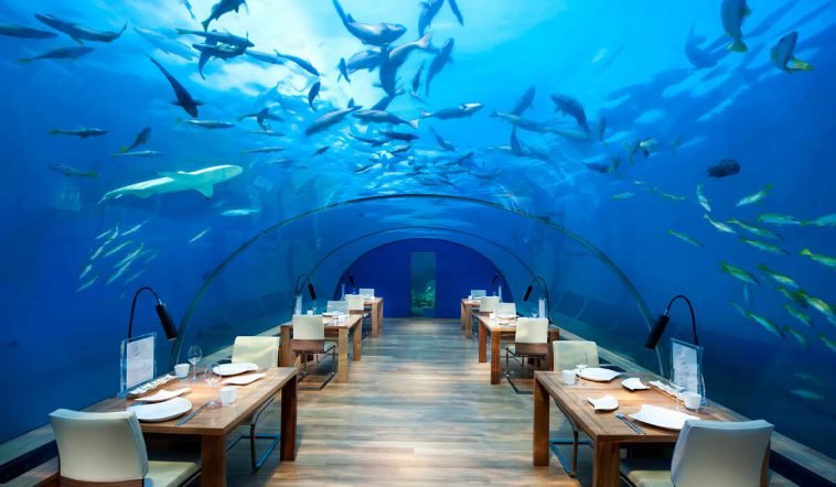 Undersea Restaurant Maldives