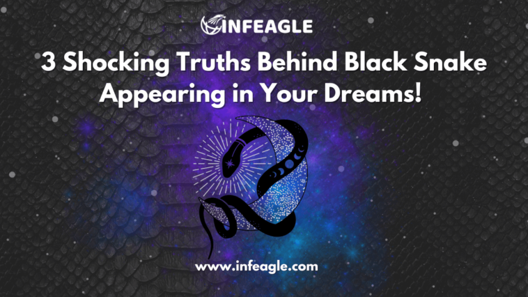 Black Snake and the moon - Dream interpretation of Black Snakes.